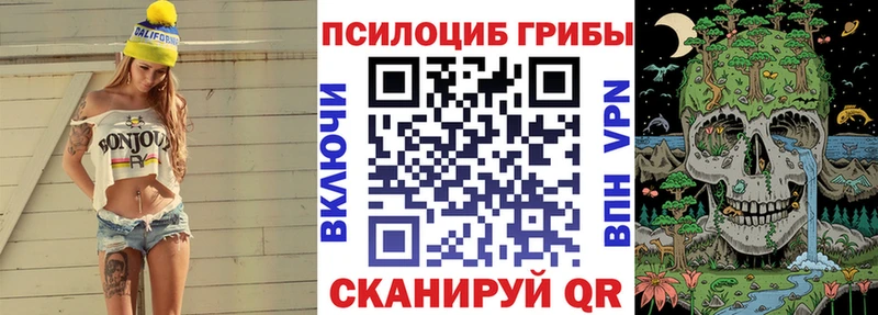 МЕГА как зайти  Ставрополь  Псилоцибиновые грибы Psilocybe 